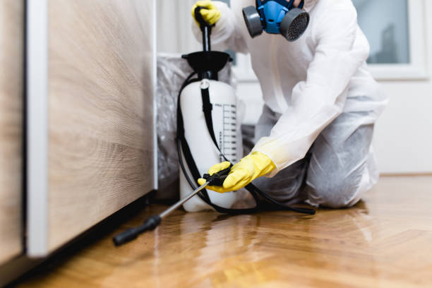 Best Emergency Pest Control  in Decatur, GA