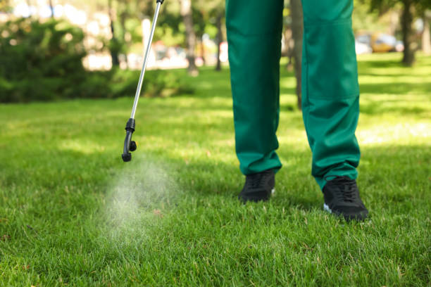 Best Bed Bug Extermination  in Decatur, GA