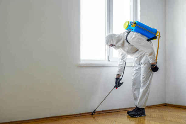 Best Wildlife Control Services  in Decatur, GA