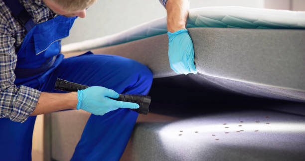 Professional Pest Control in Decatur, GA