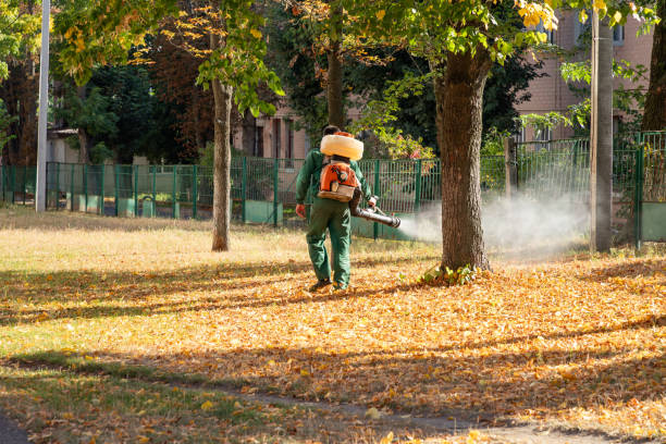 Best Flea Control Services  in Decatur, GA