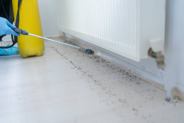 Best Residential Pest Control  in Decatur, GA